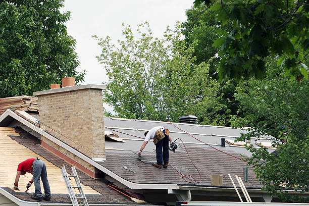 Best Roof Gutter Cleaning  in West Buechel, KY