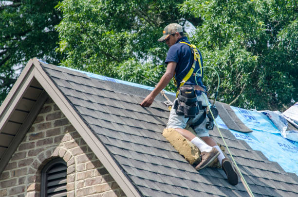 Best Storm Damage Roof Repair  in West Buechel, KY